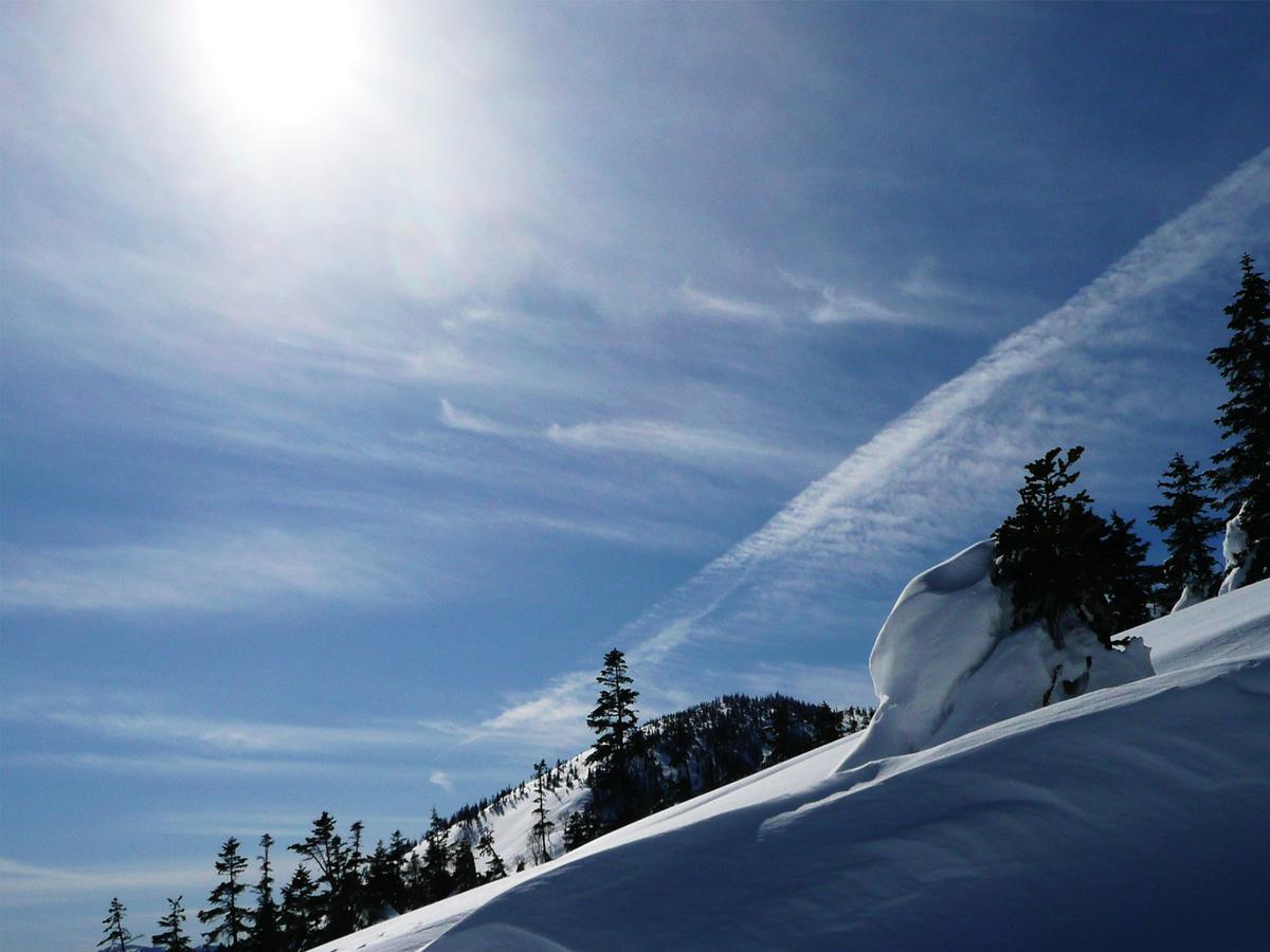 Kagura White Horse Inn Yuzawa  Dış mekan fotoğraf