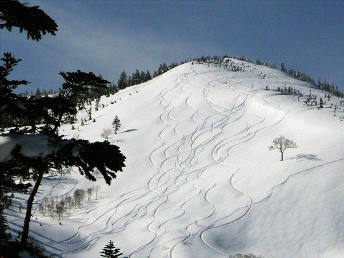 Kagura White Horse Inn Yuzawa  Dış mekan fotoğraf